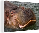 Canvas Schilderij Nijlpaard - Water - 90x60 cm - Wanddecoratie