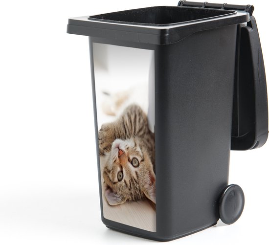 Container sticker Kitten - Zon - Bruin - Meisjes - Kinderen - Jongens - Kindje - 44x98 cm - Kliko sticker