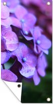 Tuinposter Bloemen - Paars - Hortensia - Natuur - Bloemblaadjes - 30x60 cm - Tuindoek - Buitenposter