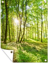 Tuinposter - Tuindoek - Tuinposters buiten - Natuur - Bomen - Bos - Groen - Zonlicht - 90x120 cm - Tuin