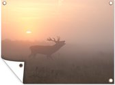 Tableau jardin Cerf - Soleil - Brouillard - 80x60 cm - Affiche jardin