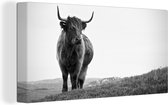 Canvas - Dieren - Schotse hooglander - Koe - Gras - Natuur - Woonkamer - Canvas schilderij - 40x20 cm - Woondecoratie - Canvas doek