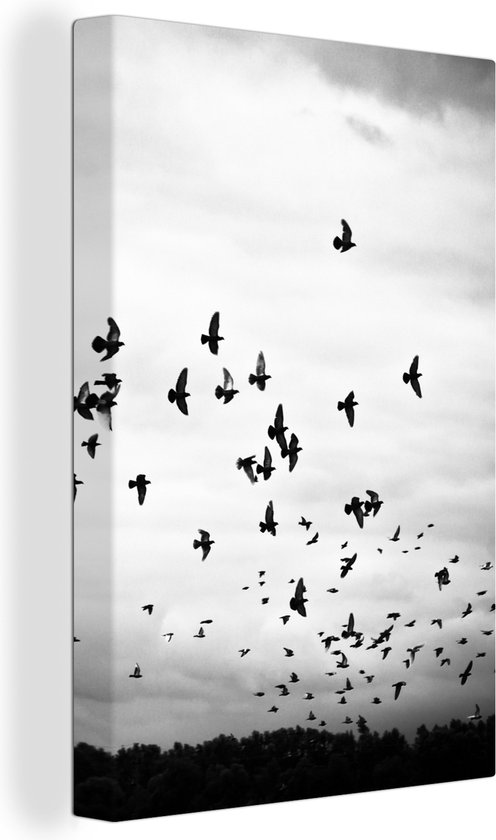 Canvas schilderij - Dieren - Vogels - Wolken - Zwart - Wit - Woonkamer - 20x30 cm - Canvas doek - Foto op canvas