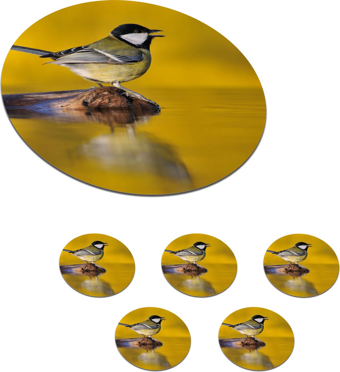 Onderzetters voor glazen - Rond - Koolmees - Vogel - Water - 10x10 cm - Glasonderzetters - 6 stuks
