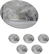 Onderzetters voor glazen - Rond - Bomen - Sneeuw - Winter - 10x10 cm - Glasonderzetters - 6 stuks