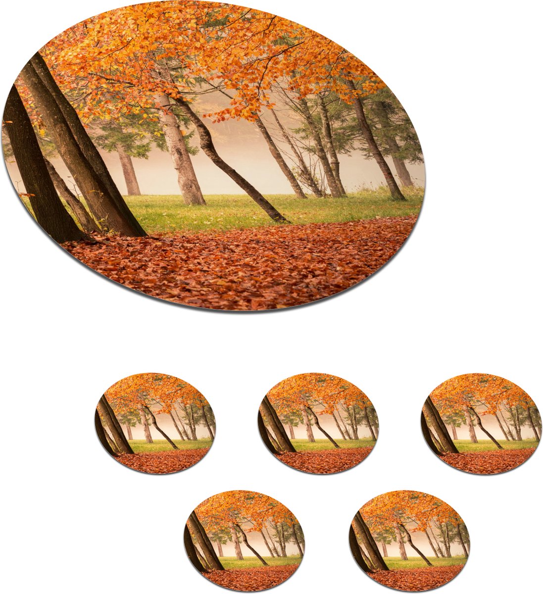 Onderzetters voor glazen - Rond - Bladeren - Herfst - Bos - 10x10 cm - Glasonderzetters - 6 stuks