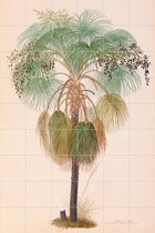 IXXI Sand Palm - Wanddecoratie - Bloemen en Planten - 120 x 180 cm