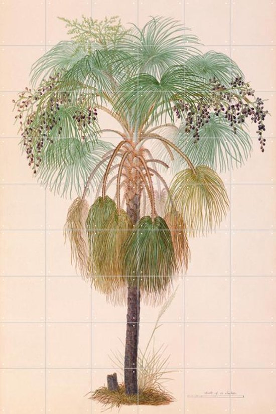 IXXI Sand Palm - Wanddecoratie - Bloemen en Planten