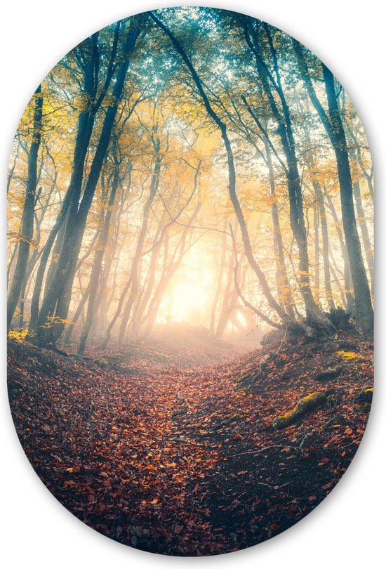 3 stks/partij Nordic Mist Bos Vogels Landschap Canvas Schilderij Poster Print Wall Art Foto Woonkamer Home Office Decor 50x75 cm x 3 Frameloos
