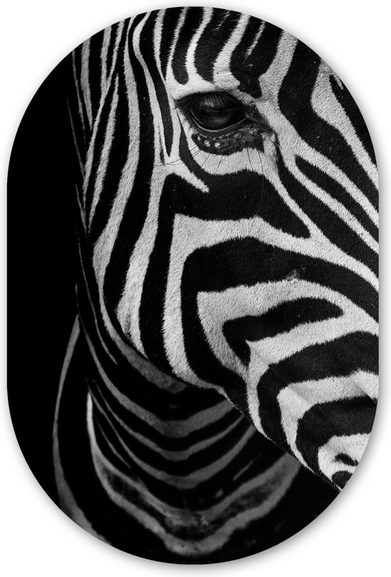 Muurovaal - Kunststof Wanddecoratie - Ovalen Schilderij - Dieren - Zebra - Zwart - Wit