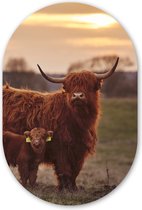 Wall Oval - Décoration murale en plastique - Peinture ovale - Highlander écossais - Animaux - Paysage - Coucher de soleil - 40x60 cm - Forme miroir ovale sur plastique