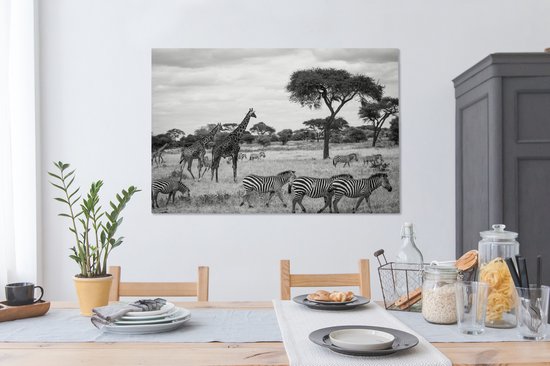 Tableau sur toile Girafes et Zèbres ensemble dans les savanes du Parc National du Serengeti - noir et blanc - 120x80 cm - Décoration murale