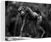 Tableau sur toile Chimpanzé avec petit sur le dos - noir et blanc - 60x40 cm - Décoration murale