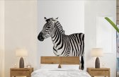 Behang kinderkamer - Fotobehang Zebra - Meisjes - Dieren - Kinderen - Jongens - Breedte 120 cm x hoogte 240 cm - Kinderbehang