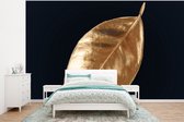 Behang - Fotobehang Bladeren - Black en gold - Luxe - Natuur - Planten - Breedte 295 cm x hoogte 220 cm