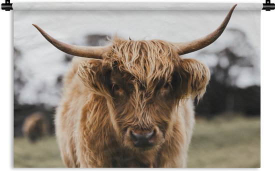 Tapisserie Scottish Highlanders - Scottish Highlander de près Tapisserie coton 120x80 cm - Tapisserie avec photo