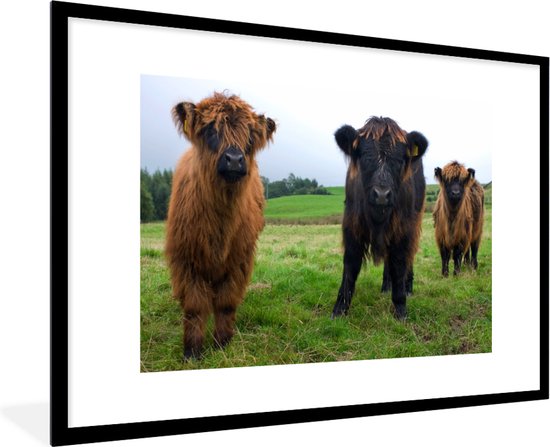 Landschap - Natuur - Koe - 59x52 cm - Inductie beschermer