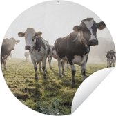Tuincirkel Koeien - Licht - Gras - Dieren - 120x120 cm - Ronde Tuinposter - Buiten XXL / Groot formaat!