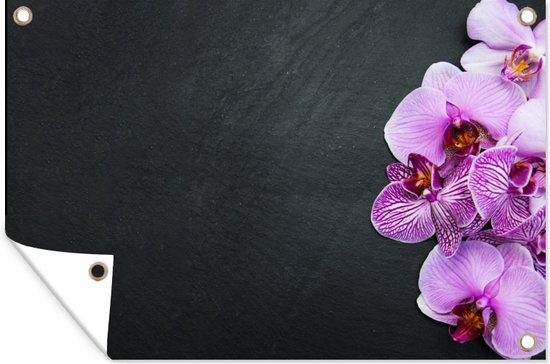 Orchideen Grußkarten Set – 24 Karten, 6 Designs, Mit Umschlägen, 14 X 10,8 Cm