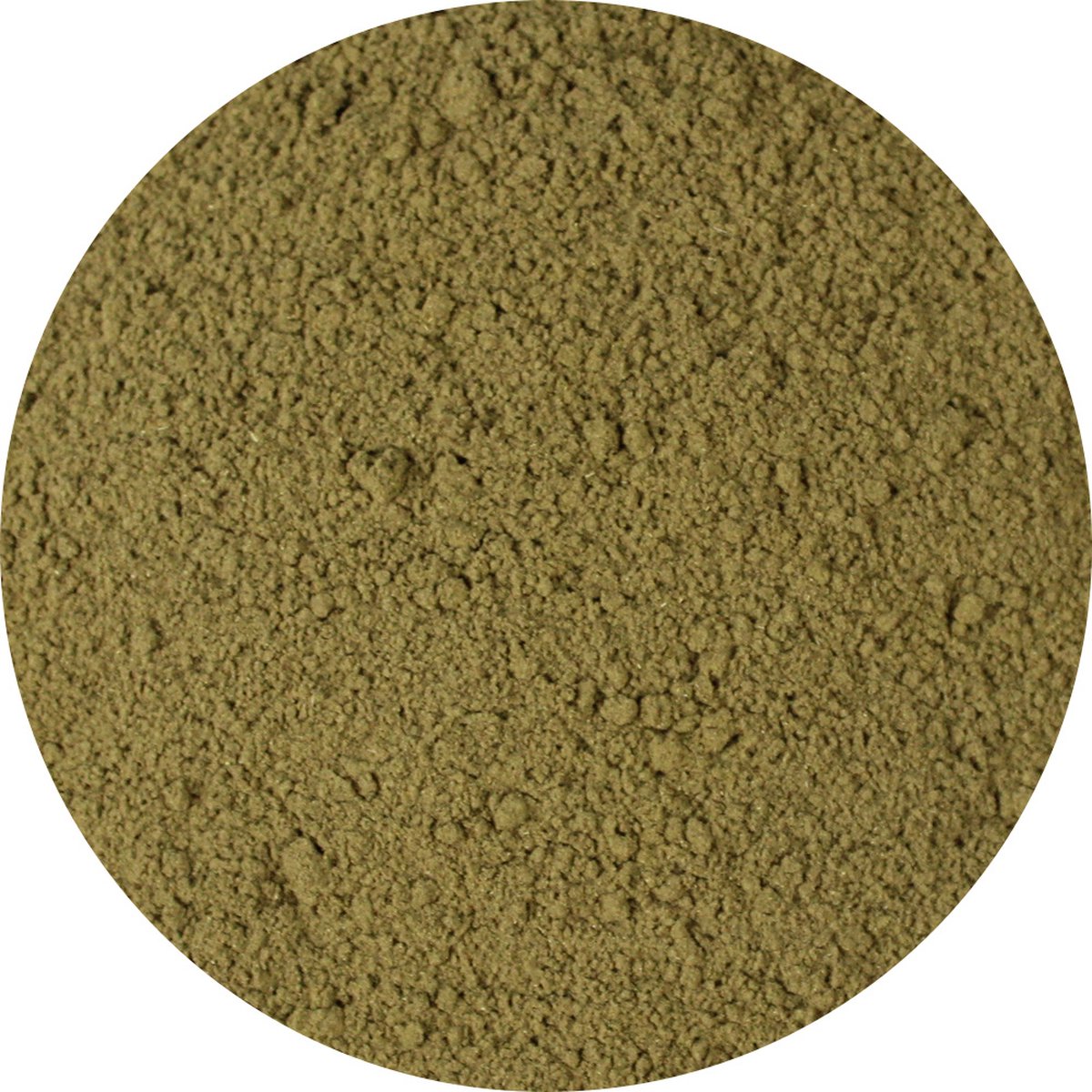 Goedkoopste Van Beekum Specerijen - Salieblad Gemalen - 15 KG - Zak (bulk verpakking