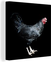 Canvas Schilderij Donker gekleurde kip poseert voor een zwarte achtergrond - 20x20 cm - Wanddecoratie