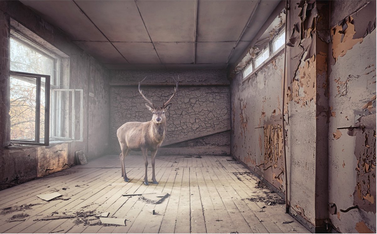 Fotobehang - Lost.