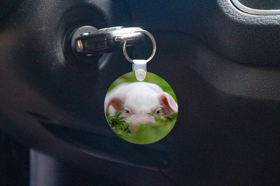 Porte-clés - Cochon - Animaux - Porcinet - Plastique - Rond - Distribution cadeaux