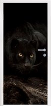 Deursticker Panter - Bos - Ogen - 85x205 cm - Deurposter