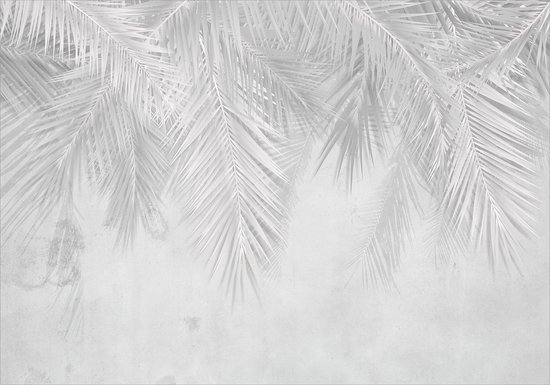 Foto: Fotobehangkoning behang vliesbehang fotobehang botanische jungle bladeren tropisch 450 x 315 cm