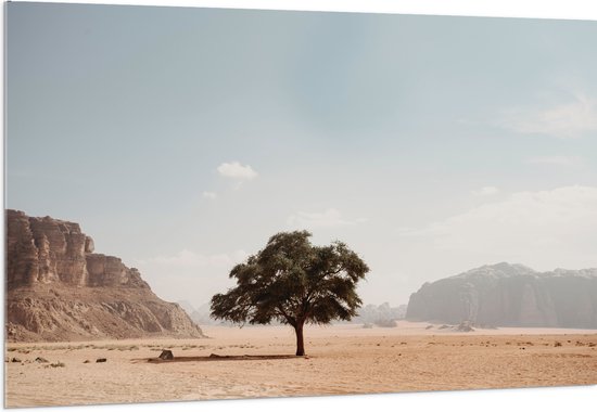 WallClassics - Acrylglas - Eenzame Boom in Woestijn - 150x100 cm Foto op Acrylglas (Wanddecoratie op Acrylaat)