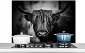 Spatscherm keuken 100x65 cm - Kookplaat achterwand Schotse hooglander - Licht - Portret - Natuur - Muurbeschermer - Spatwand fornuis - Hoogwaardig aluminium
