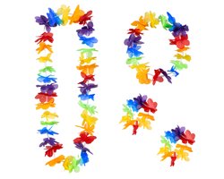 Boland - Set Hawaï Rainbow Multi - Volwassenen - Unisex - - Hawaii - Themafeest - Strandfeest - Carnaval
