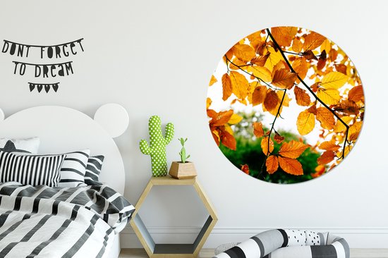 WallCircle - Wall Circle - Wall Circle Indoor - Feuilles d'Automne - Arbre - Rural - 120x120 cm - Décoration murale - Peintures Ronds XXL