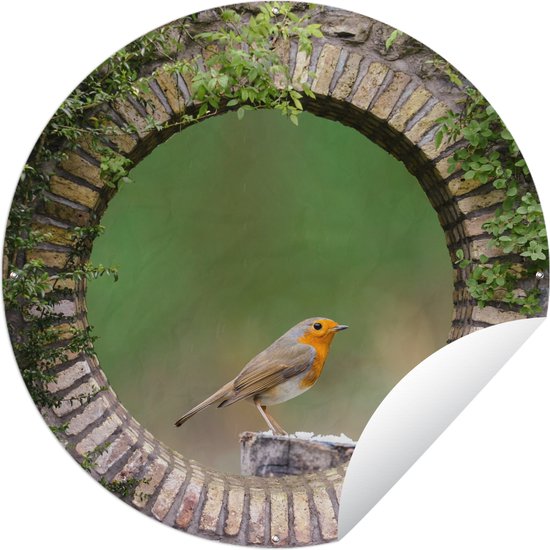 Tuincirkel Vogel - Doorkijk - Roodborstje - 60x60 cm - Ronde Tuinposter - Buiten