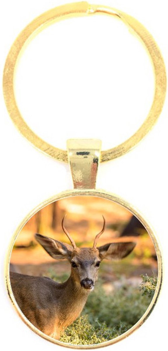 Sleutelhanger Glas - Herten