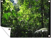 Muurdecoratie buiten Regenwoud Brazilie fotoprint - 160x120 cm - Tuindoek - Buitenposter