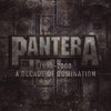 Pantera - 1990-2000: A Decade Of Dmination (LP)