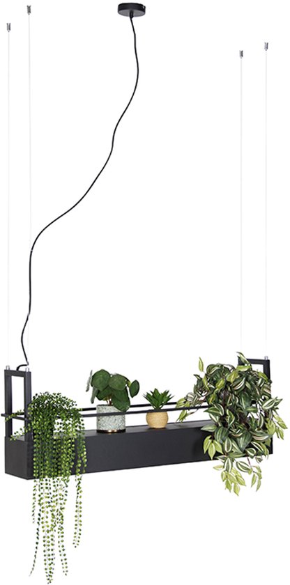 QAZQA cage rack