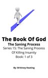 The Saning Process Of Killing Insanity 1 - The Book Of God