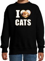 I love cats sweater met dieren foto van een rode kat zwart voor kinderen - cadeau trui katten liefhebber - kinderkleding / kleding 122/128