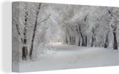 Canvas Schilderij Bomen - Sneeuw - Winter - 80x40 cm - Wanddecoratie