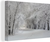Toile Peinture Arbres - Neige - Hiver - 120x80 cm - Décoration murale