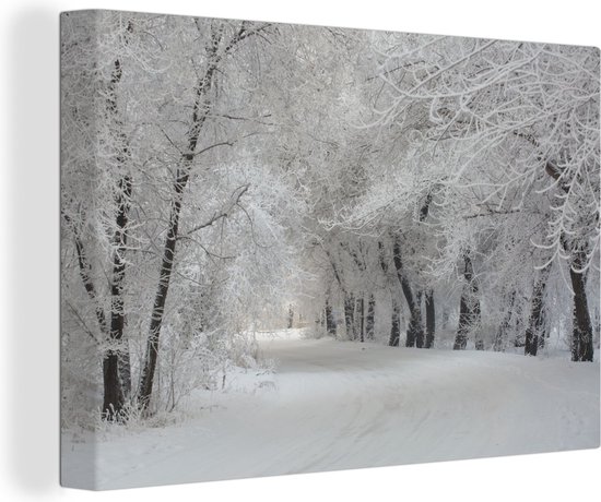 Canvas Schilderij Bomen - Sneeuw - Winter - 120x80 cm - Wanddecoratie