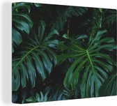 Tableau Toile Monstera - Feuilles - Tropical - Jungle - 80x60 cm - Décoration murale