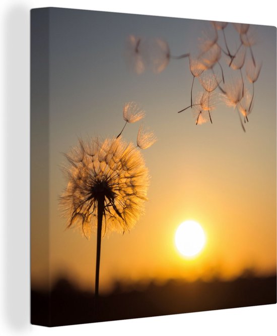 Toile Peinture Pissenlit - Soleil - Coucher de Soleil - 50x50 cm - Décoration murale