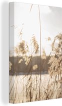 Canvas Schilderij Water - Pampasgras - Planten - 80x120 cm - Wanddecoratie