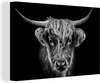 Schotse Hooglanders (2) zwart wit-canvas 2cm - 3:2 - 12-2