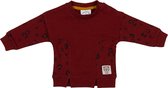 Frogs and Dogs - Wild About You Sweater Leo Insert - - Maat 68 -