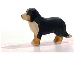 Berner sennen hond