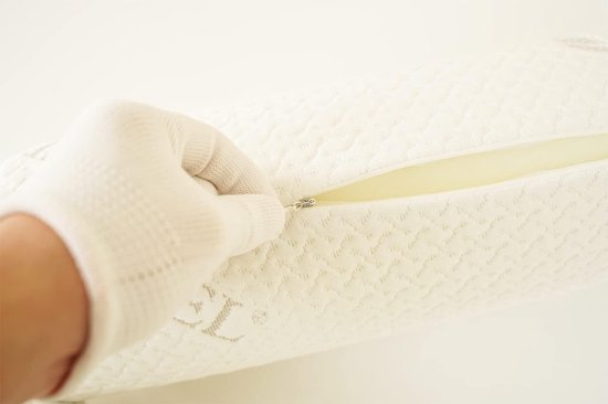 JOERRES Boekweit kussen, Boekweit nekkussen met rits, Natuurlijk boekweit slaapkussen, Kussen met wasbare katoenen hoes, Boekweitkaf neksteunkussen verlicht nekpijn (Paars JOERRES Boekweit kussen, Boekweit nekkussen met rits, Natuurlijk boekweit slaapkussen, Kussen met wasbare katoenen hoes, Boekweitkaf neksteunkussen verlicht nekpijn (Paars